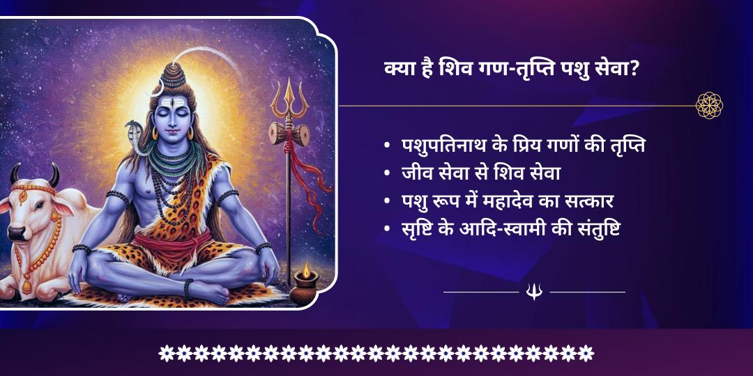 महाशिवरात्रि पशुपतिनाथ 'गण-तृप्ति' पशु सेवा 