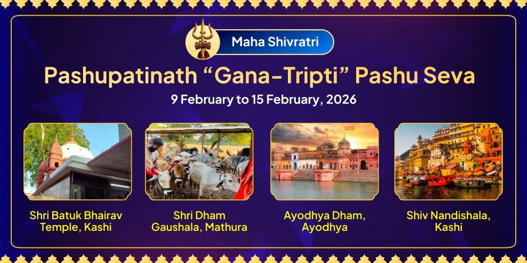 Maha Shivratri Pashupatinath 'Gana-Tripti' Pashu Seva