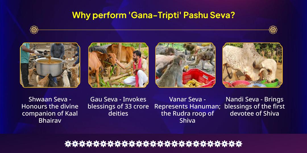 Maha Shivratri Pashupatinath 'Gana-Tripti' Pashu Seva