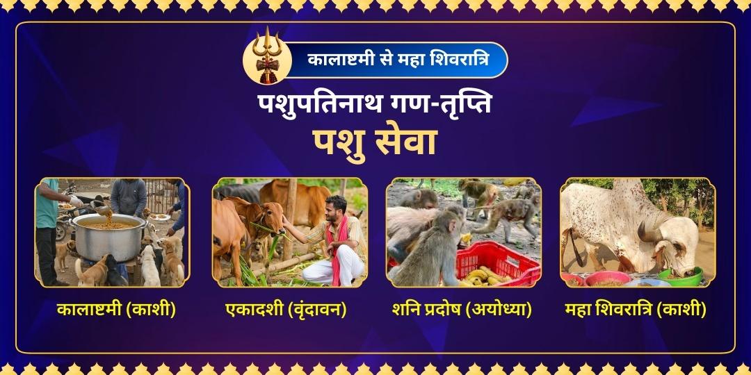 इस महाशिवरात्रि, पशुपतिनाथ के प्रिय गणों (श्वान, गौ, वानर, नंदी) की सेवा कर के ही शिव पूजा का पूर्ण फल प्राप्त करें।