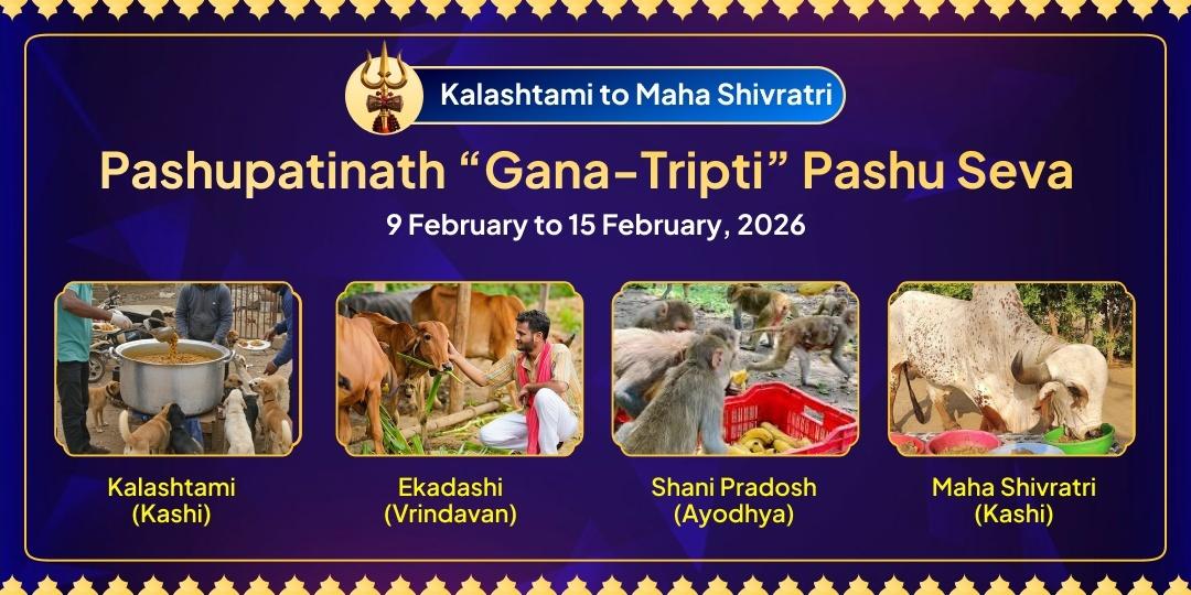 Maha Shivratri Pashupatinath 'Gana-Tripti' Pashu Seva