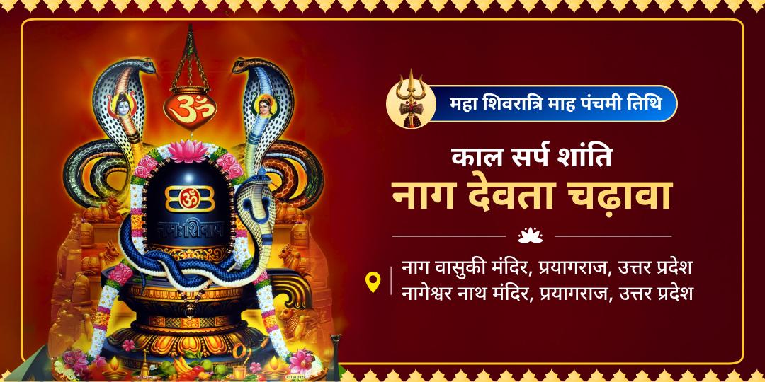 शिव की ईशान शक्ति और नागों की कुंडलिनी ऊर्जा के मिलन का दुर्लभ संयोग! नाग वासुकि और नागेश्वर नाथ के द्वार पर अर्पण कर काल सर्प दोष से शांति पाएं। 