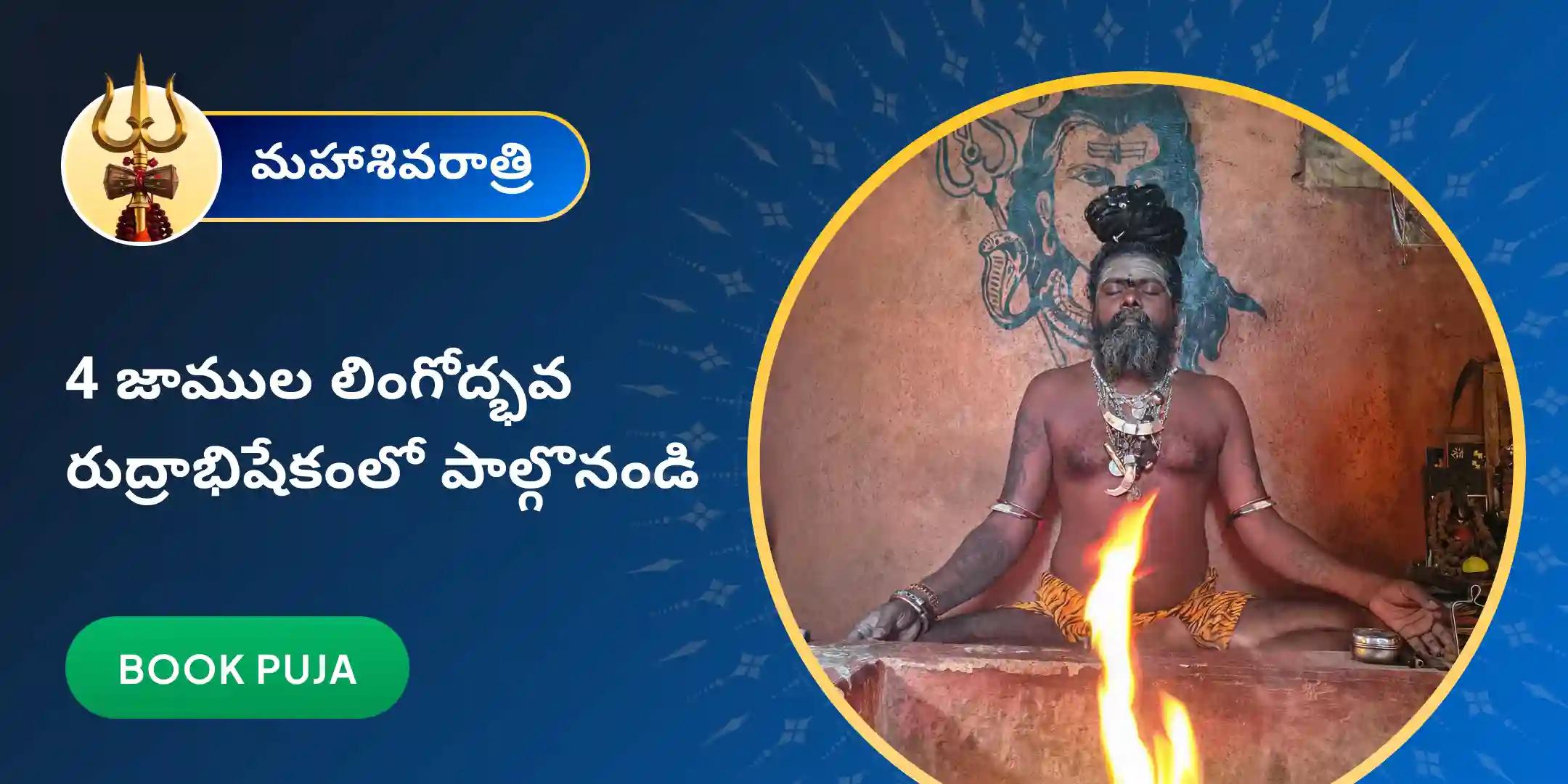 నాగ సాధువుచే 4 జాములు లింగోద్భవ రుద్రాభిషేకం