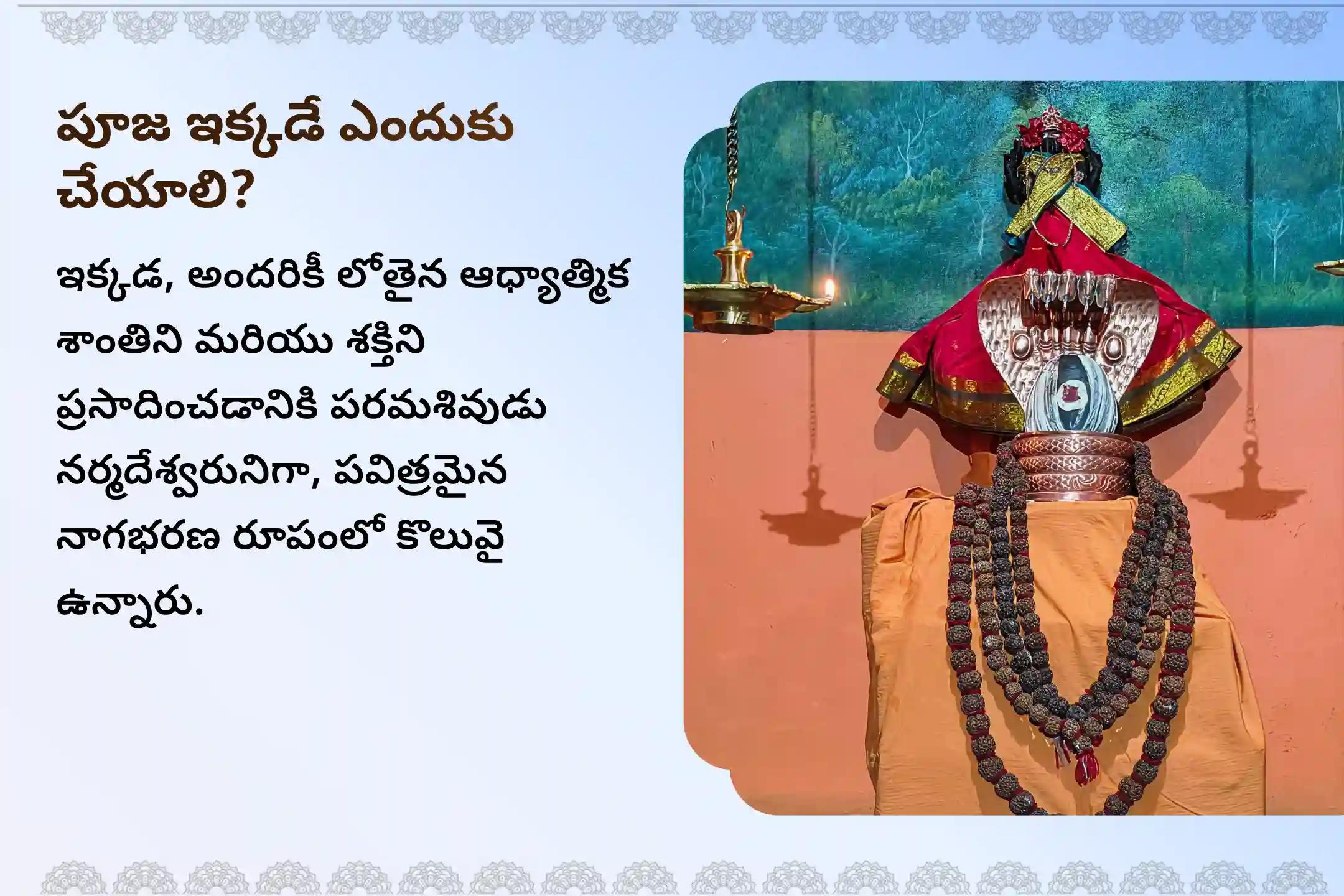 🕉️మహాశివరాత్రి పర్వదినాన ఆత్మచైతన్యం, అహంకార నిర్మూలన మరియు ఆధ్యాత్మిక  జ్ఞానం కోసం నాగ సాధువుచే నిర్వహించబడే 4 ఝాములలింగోద్భవ రుద్రాభిషేకంలో పాల్గొనండి.