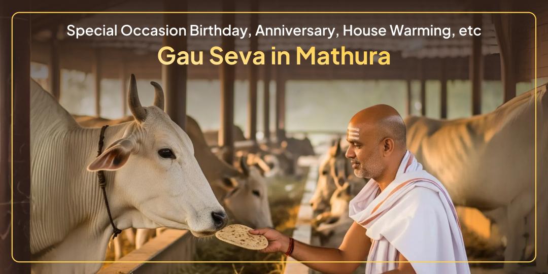 Special Occasion - Gau Seva in Mathura