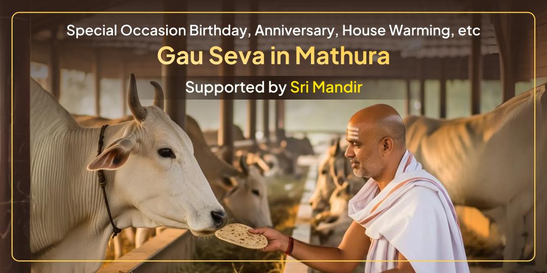 Special Occasion - Gau Seva in Mathura