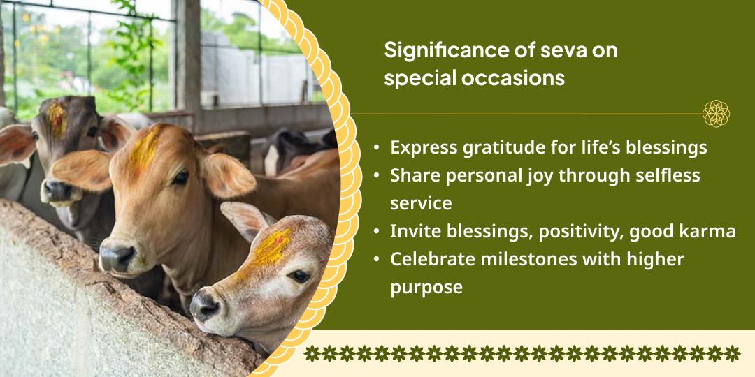 Special Occasion - Gau Seva in Mathura