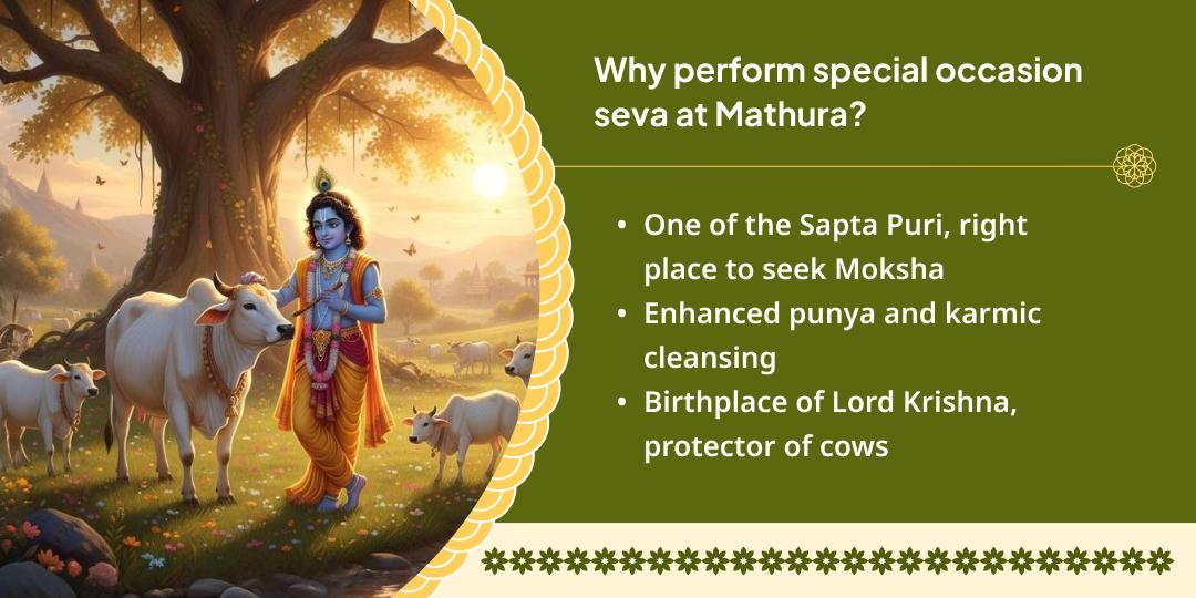 Special Occasion - Gau Seva in Mathura