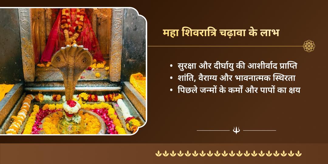 महा शिवरात्रि ओंकारेश्वर ज्योतिर्लिंग चढ़ावा