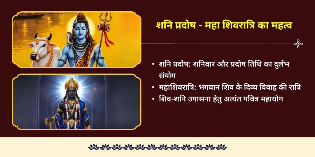शनि प्रदोष महा शिवरात्रि कर्म चक्र शांति शिव-शनि महाभिषेक 