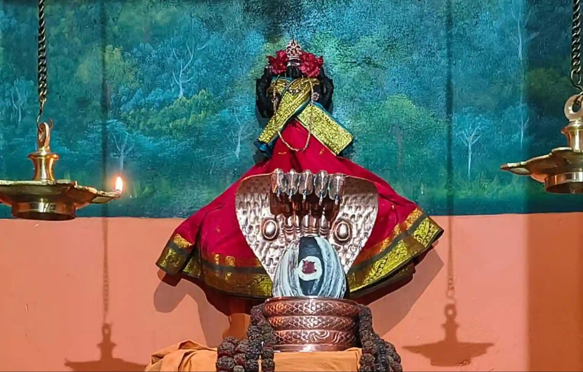 ಶ್ರೀ ನಂದಿ ಫೌಂಡೇಶನ್, ತಿರುವಣ್ಣಾಮಲೈ, ತಮಿಳುನಾಡು