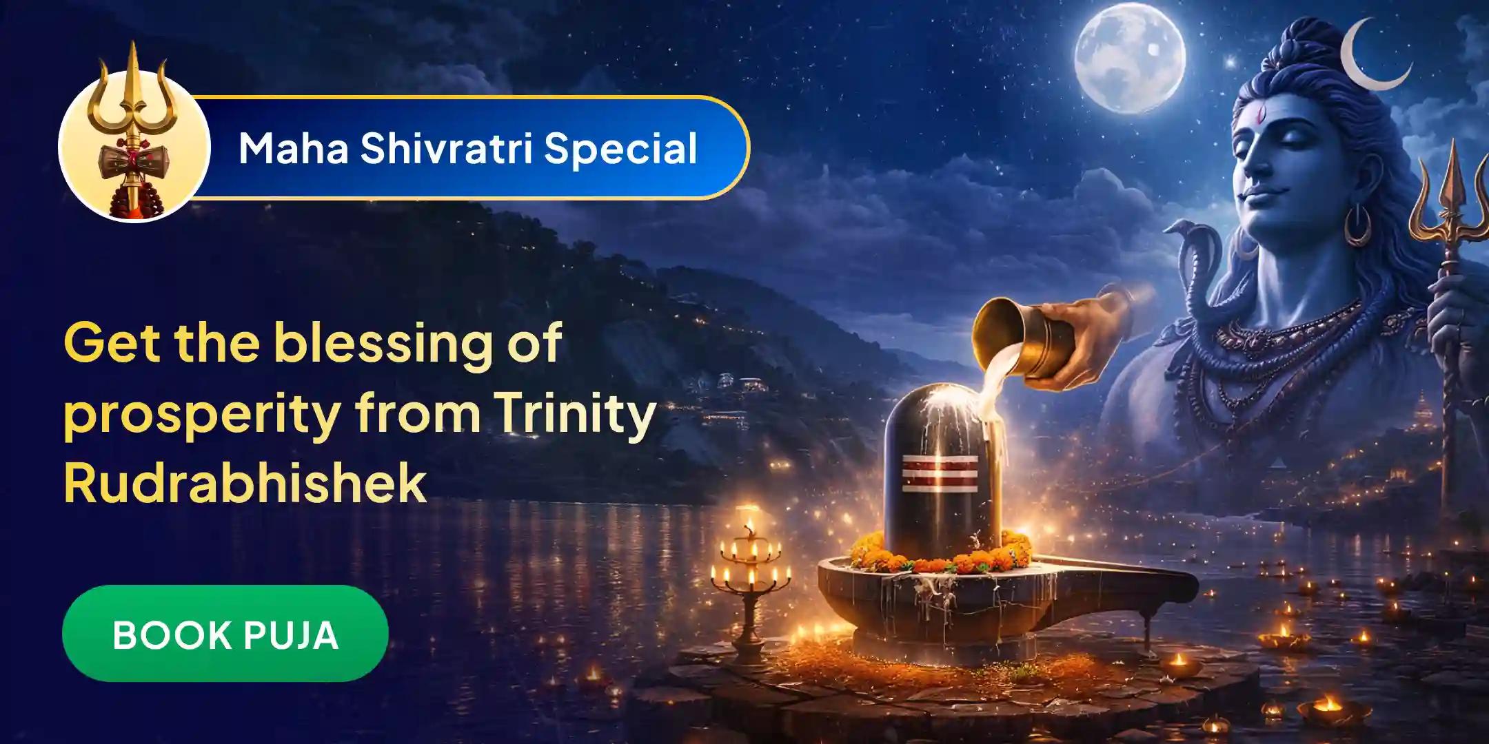 Trimbakeshwar Swayambhu Jyotirlinga Rudrabhishek Puja