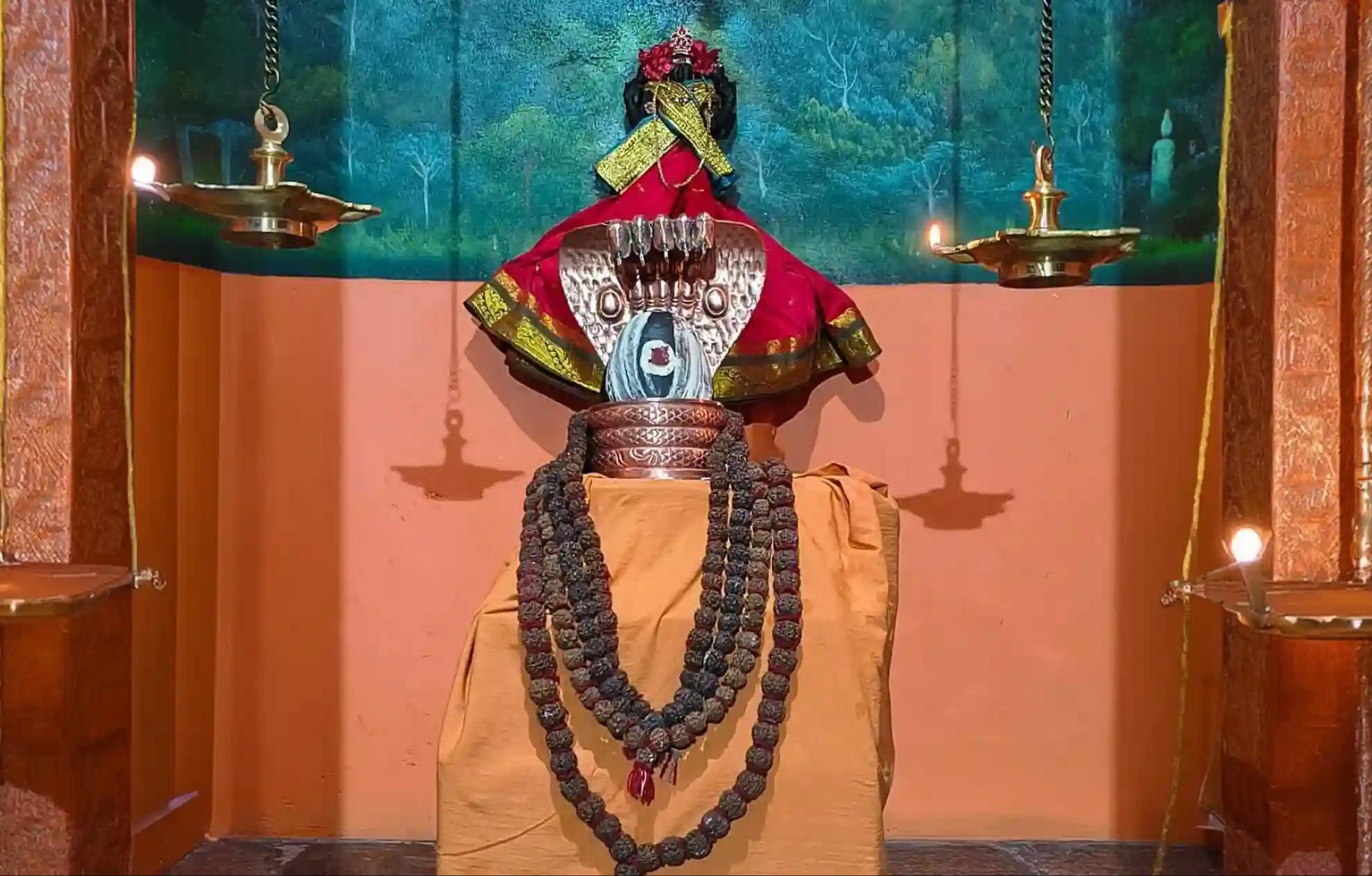 श्री नंदी फाउंडेशन, तिरुवन्नामलै, तमिलनाडु