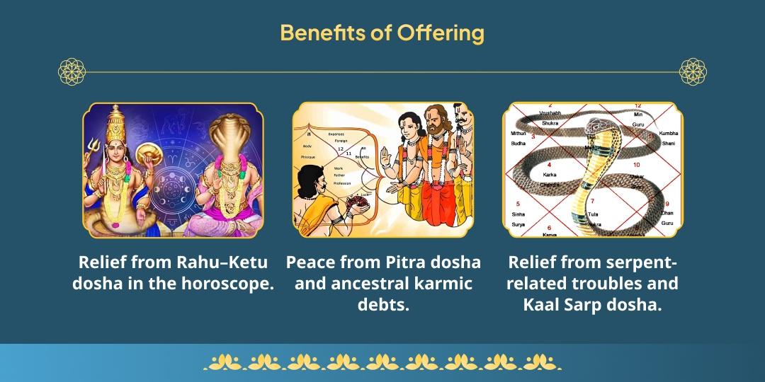 Amavasya 3 Temples 3 Dosh Shanti Nag Devta, Pitru & Rahu-Ketu Chadhava