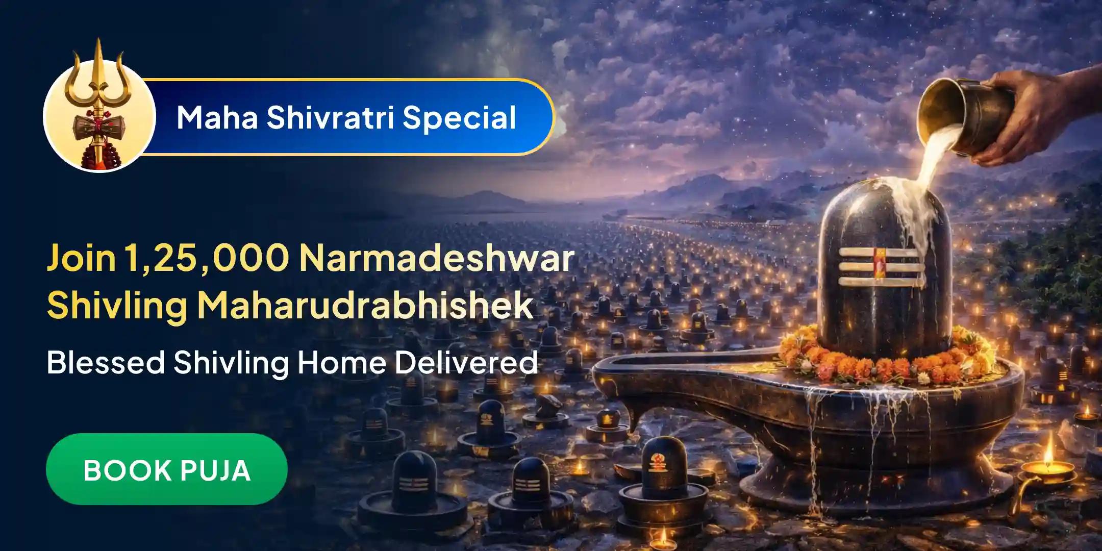 1,25,000 Narmadeshwar Partheshwar Shivlinga Rudrabhishek and 1 Blessed Shivling Home Delivery