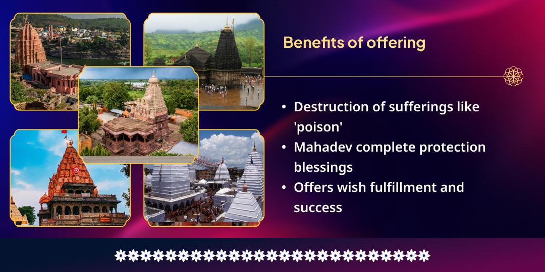 Maha Shivratri 5 Jyotirlingas Jal Mahabhishek