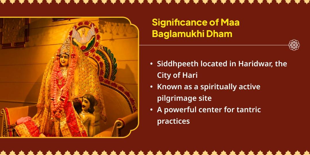 Masik Durgashtami Maa Baglamukhi Nazar Dosh Shanti 21Kg Lal Mirchi Hawan Aahuti