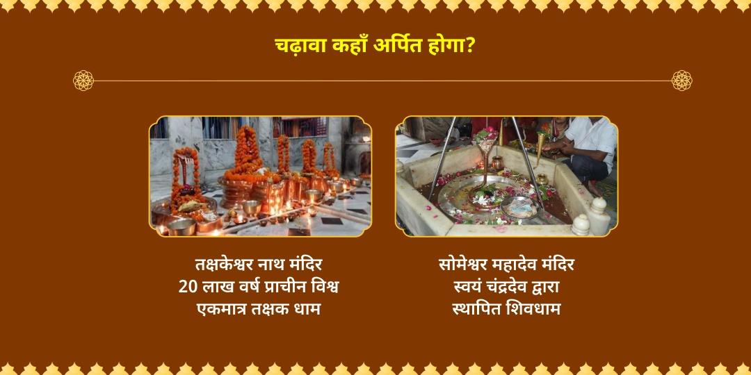 फुलेरा दूज अबूझ मुहूर्त सर्व दोष निवारण महाउपाय चढ़ावा 