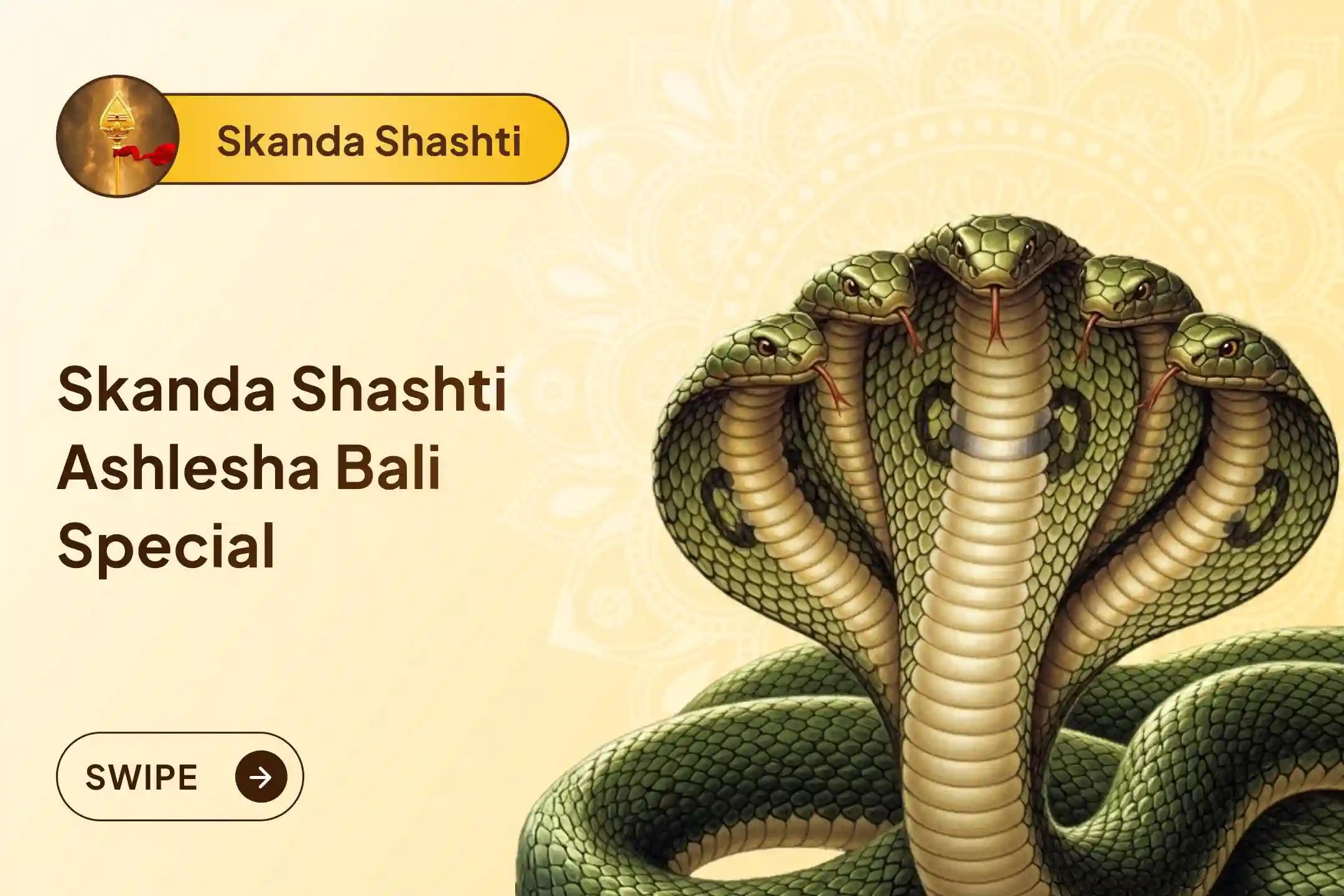 Participate in the Skanda Shashti Ashlesha Bali Special Ashlesha Naga Bali Puja to remove the malicious effects of Sarpa (Naga) Dosha and clean karmic sins