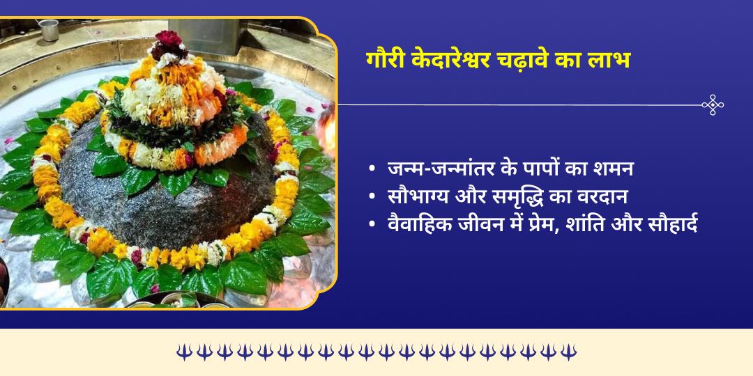 काशी रंगभरी एकादशी – गौरी केदारेश्वर स्वागत महाचढ़ावा 