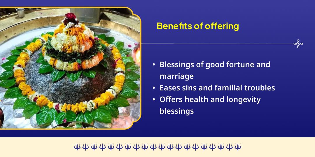 Kashi Rangbhari Ekadashi Gauri Kedareshwar Swagat Maha Chadhava