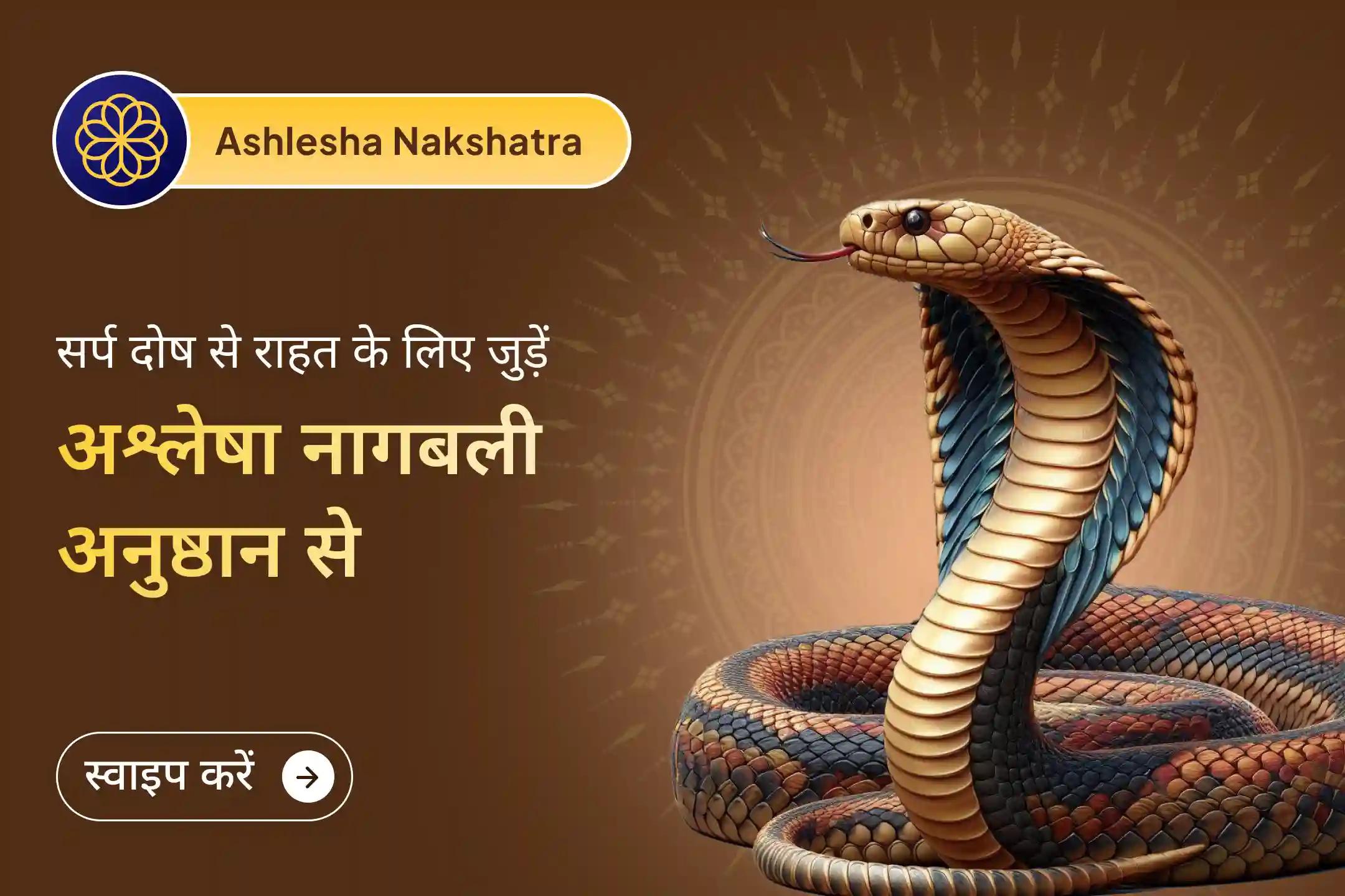 😔अदृश्य शक्ति आपके जीवन में खुशियाँ और सफलता में बाधा डाल रही है? 🌑 इस विशेष नक्षत्र में नकारात्मक ऊर्जा को शांत करें और 🐍 नाग देवता के आशीर्वाद से जीवन में शांति और संतुलन का स्वागत करें।