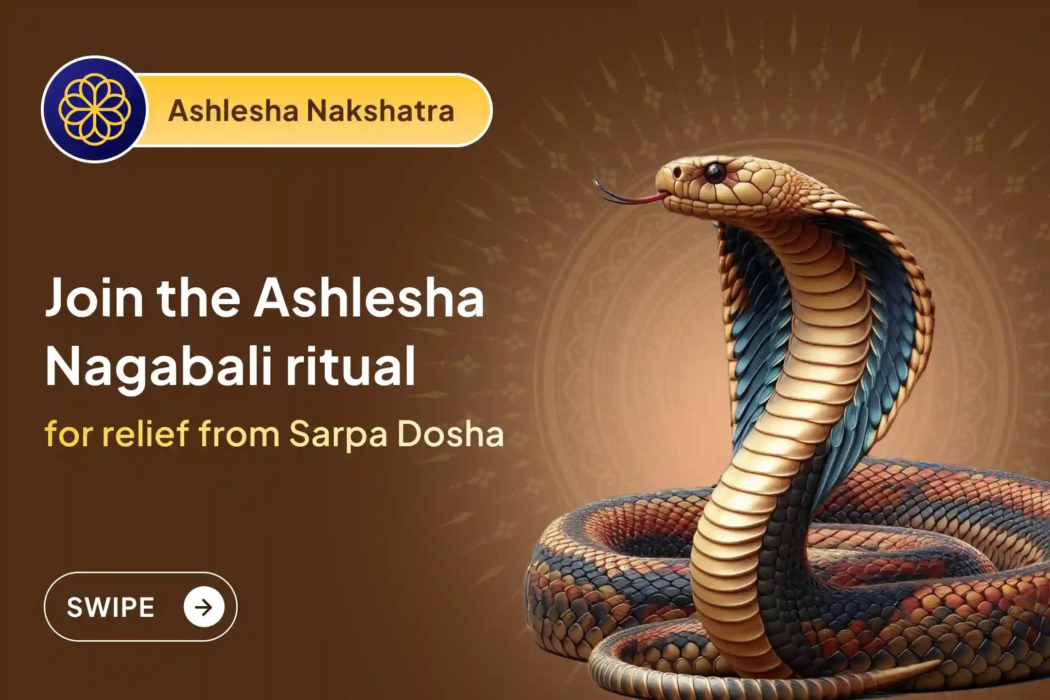 😔 Is an unseen force creating obstacles in your happiness and success? 🌑 In this sacred Nakshatra, pacify negative energies and 🐍 welcome peace and balance in life with the blessings of Naga Devta.