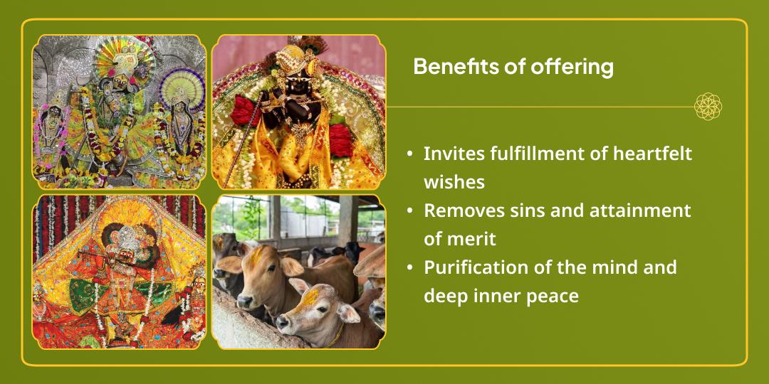 Rang Panchami Vrindavan Radha Krishna 3 Temple Chadhava & Gauseva