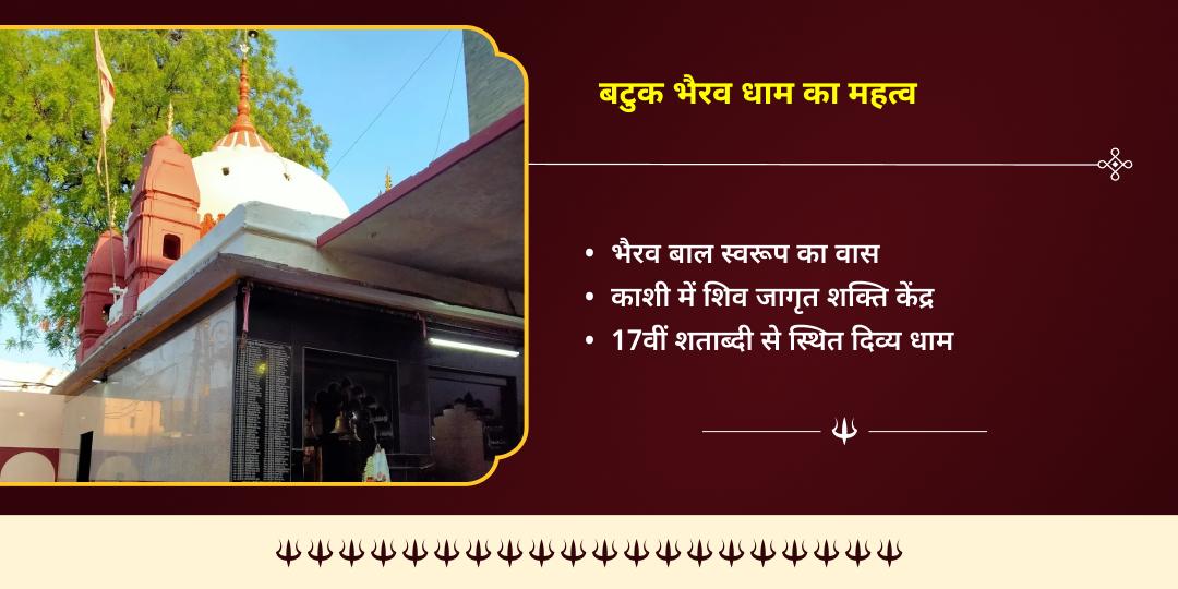 हिंदू वर्ष अंतिम कालाष्टमी काशी जरूरतमंद एवं भैरव प्रिय वाहन श्वान सेवा 