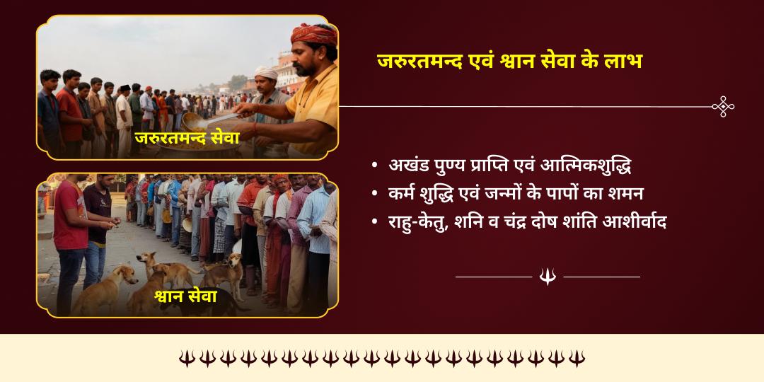 हिंदू वर्ष अंतिम कालाष्टमी काशी जरूरतमंद एवं भैरव प्रिय वाहन श्वान सेवा 