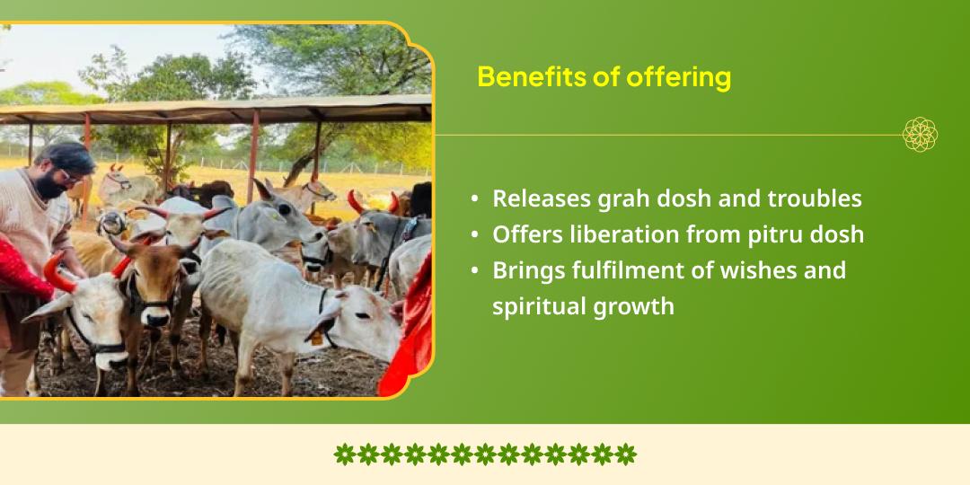 Masik Krishna Janmashtami Shri Krishna Priye Gau Seva