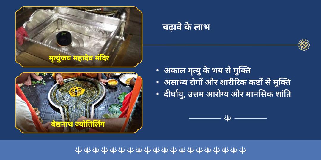 सोम प्रदोष महामृत्युंजय मंत्र एवं आरोग्य मूर्ति ज्योतिर्लिंग चढ़ावा 