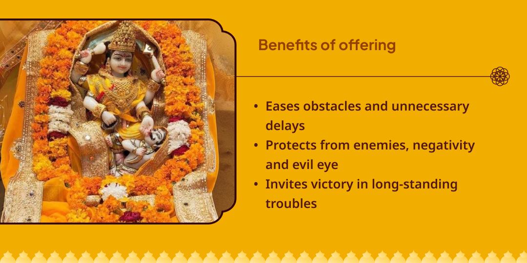 Navratri Shatru Nashak Pitambara Peeth Maa Baglamukhi Chadhava