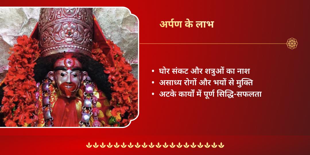 तारा जयंती तारापीठ शक्तिपीठ अर्पण  