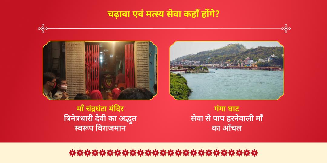 नवरात्रि तृतीया-मत्स्य जयंती माँ चंद्रघंटा चढ़ावा एवं मत्स्य सेवा 