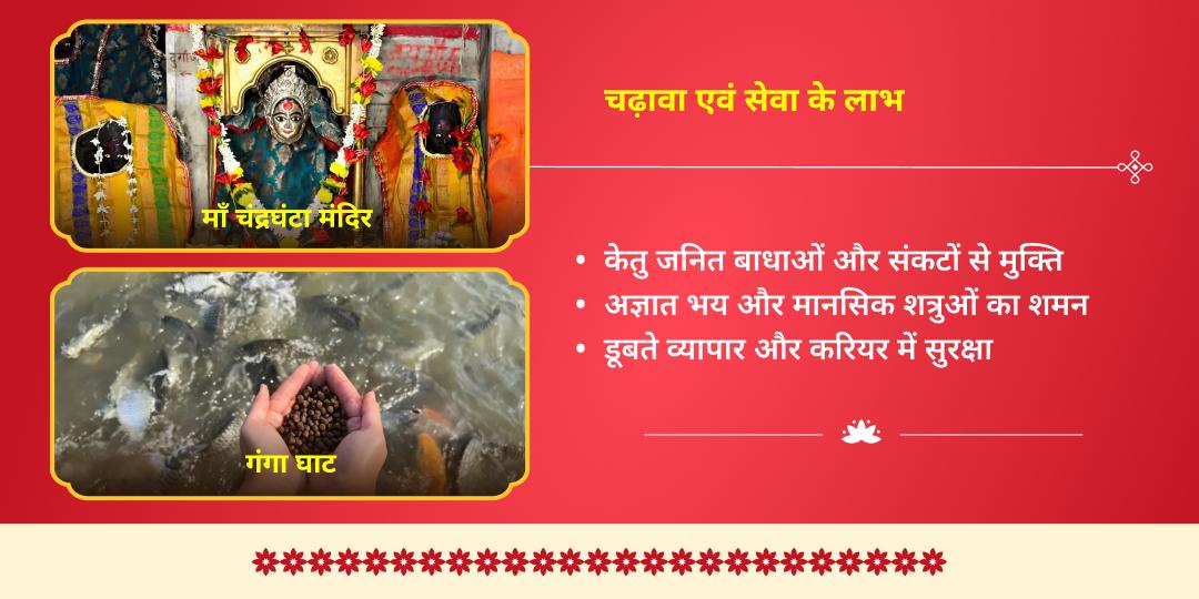 नवरात्रि तृतीया-मत्स्य जयंती माँ चंद्रघंटा चढ़ावा एवं मत्स्य सेवा 