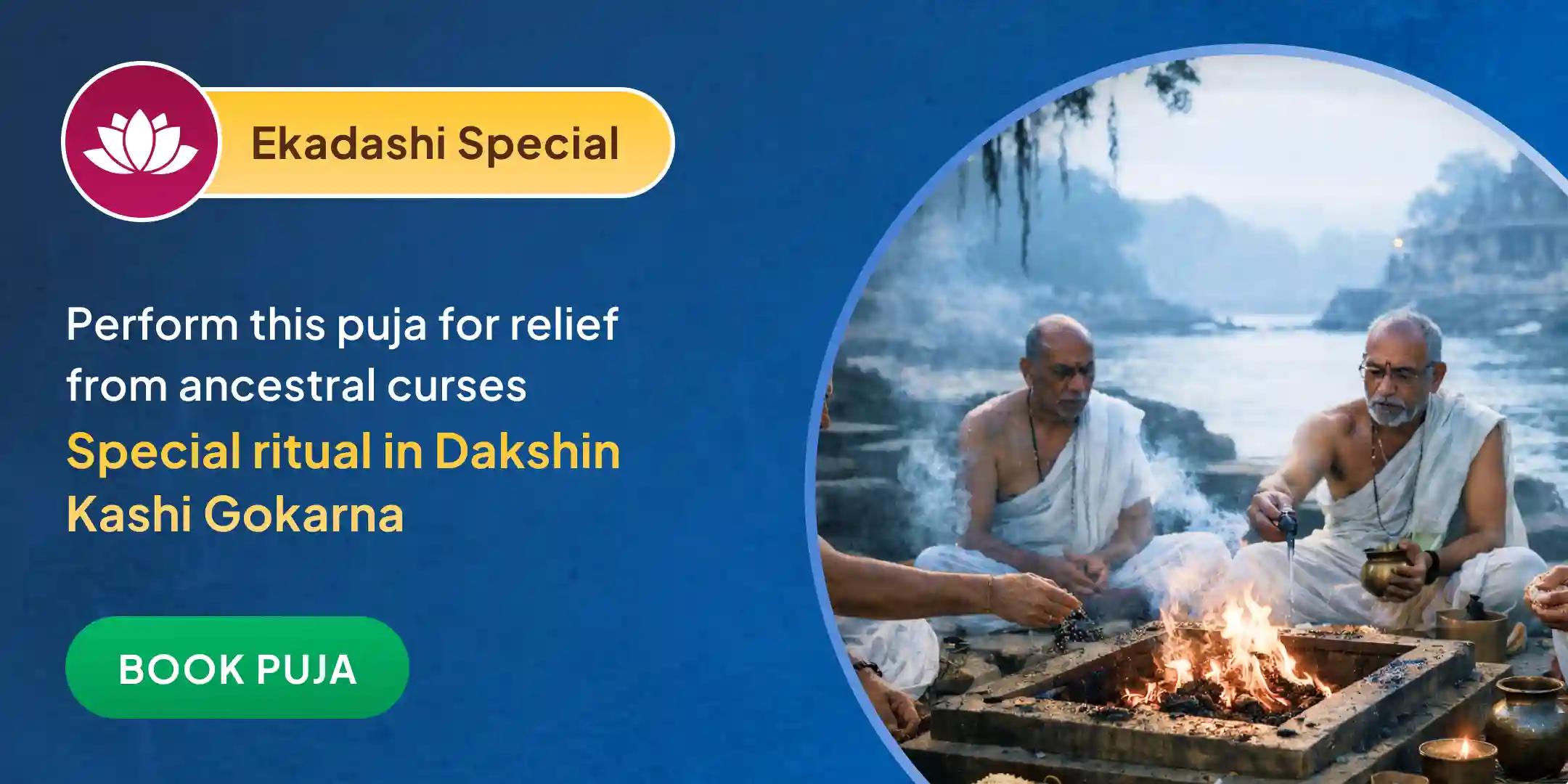 Narayan Bali Puja, Tripindi Shraadh Pitru Dosh Shanti Puja