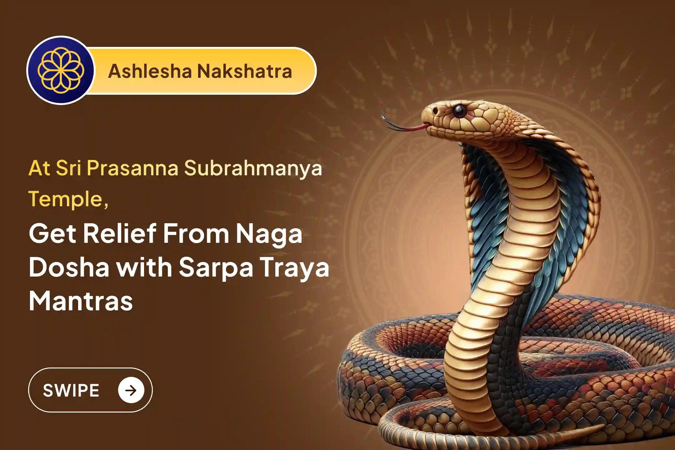 Participate in the Ashlesha Nakshtara Naga Dosha Special Naag Pratishtha Puja to get relief from Naga Dosha and past life sins