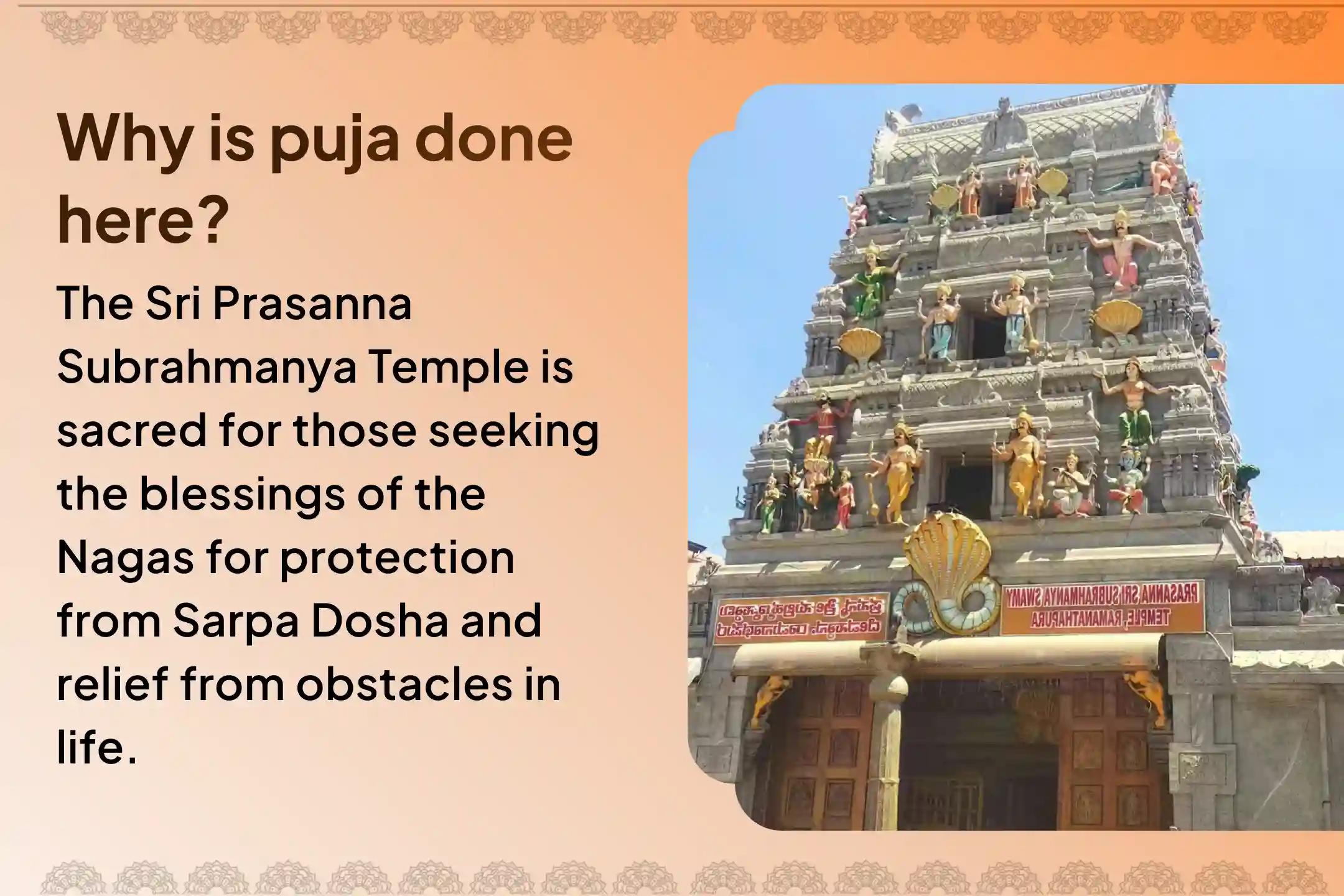 Participate in the Ashlesha Nakshtara Naga Dosha Special Naag Pratishtha Puja to get relief from Naga Dosha and past life sins