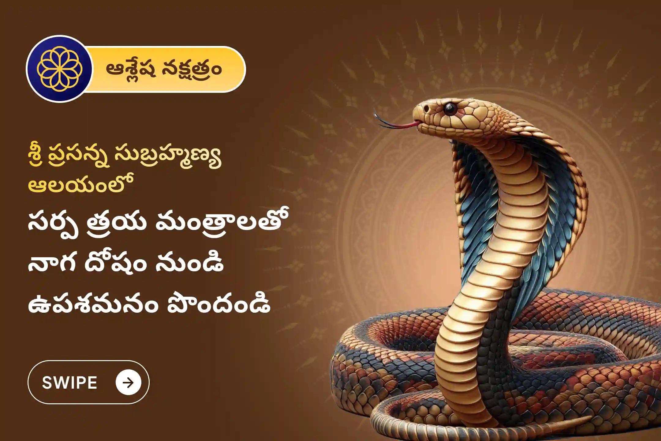 నాగ దోషం మరియు గత జన్మ పాపాల నుండి ఉపశమనం పొందడానికి ఆశ్లేష నక్షత్ర నాగ దోష ప్రత్యేక నాగ ప్రతిష్ఠ పూజలో పాల్గొనండి.