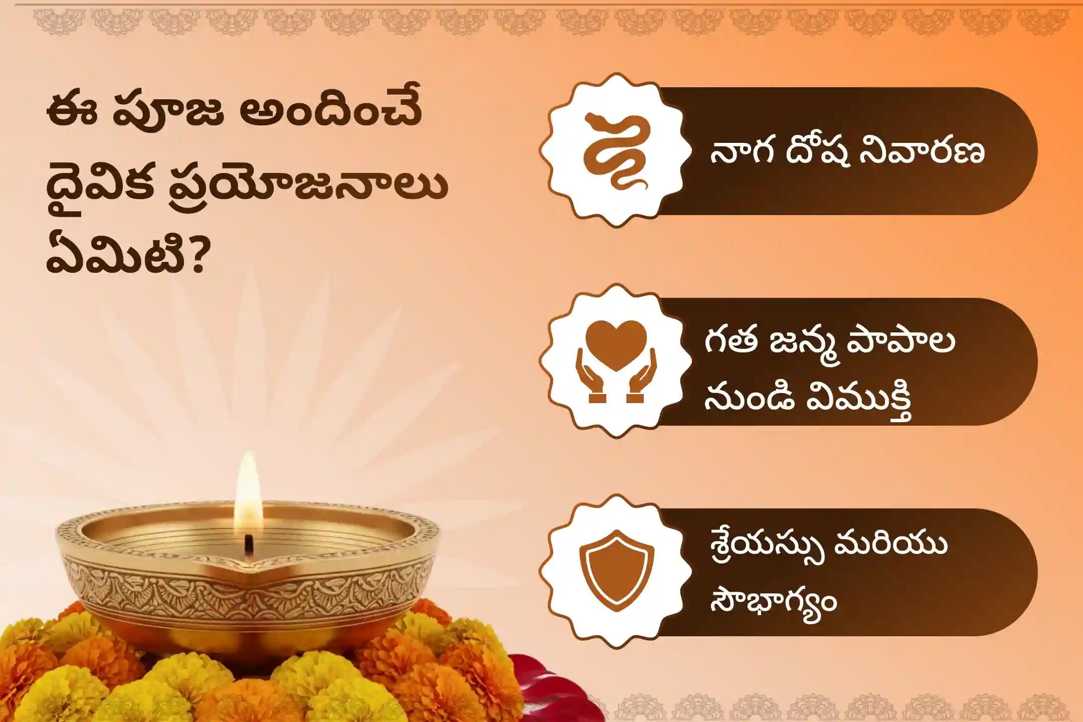 నాగ దోషం మరియు గత జన్మ పాపాల నుండి ఉపశమనం పొందడానికి ఆశ్లేష నక్షత్ర నాగ దోష ప్రత్యేక నాగ ప్రతిష్ఠ పూజలో పాల్గొనండి.