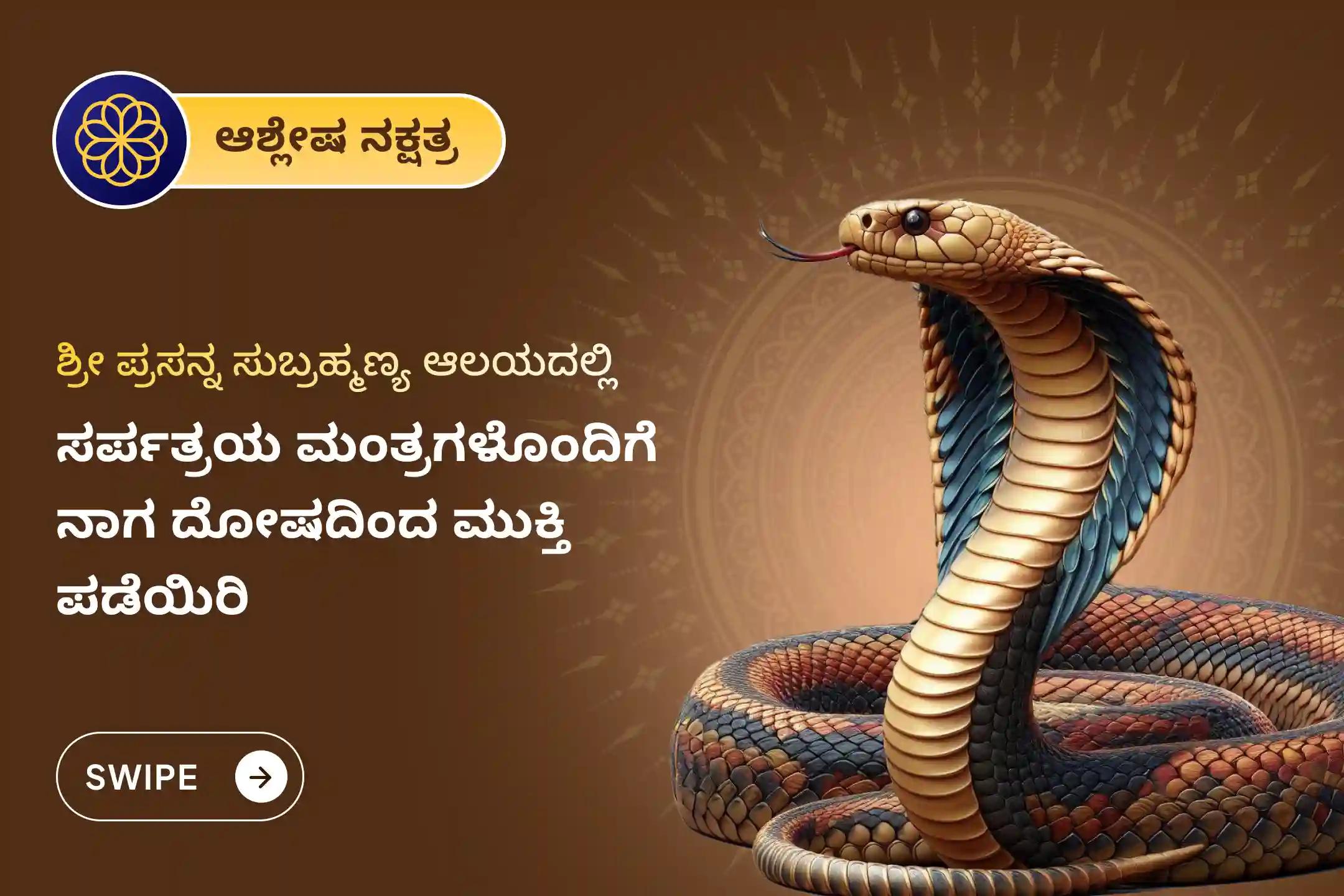 ನಾಗ ದೋಷ ಮತ್ತು ಜನ್ಮಾಂತರದ ಪಾಪಗಳಿಂದ ಮುಕ್ತಿ ಪಡೆಯಲು ಆಶ್ಲೇಷ ನಕ್ಷತ್ರದ ಈ ವಿಶೇಷ ಸಂದರ್ಭದಲ್ಲಿ ನಡೆಯುವ ನಾಗ ಪ್ರತಿಷ್ಠೆ ವಿಶೇಷ ಪೂಜೆಯಲ್ಲಿ ಭಾಗವಹಿಸಿ.