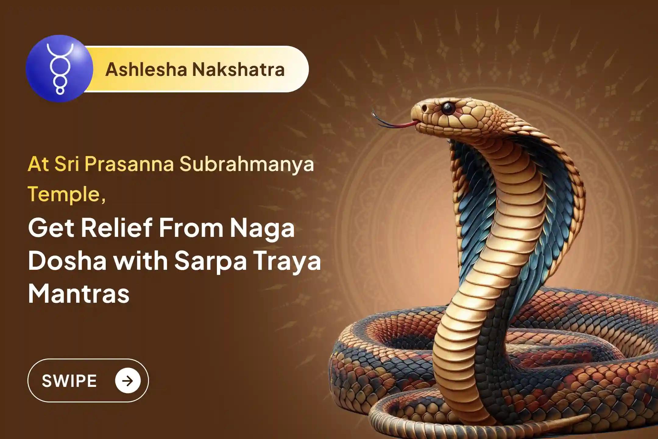Participate in the Ashlesha Nakshtara Naga Dosha Special Naag Pratishtha Puja to get relief from Naga Dosha and past life sins