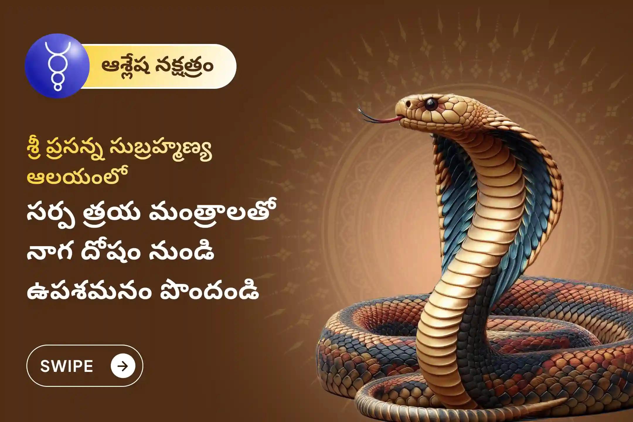 నాగ దోషం మరియు గత జన్మ పాపాల నుండి ఉపశమనం పొందడానికి ఆశ్లేష నక్షత్ర నాగ దోష ప్రత్యేక నాగ ప్రతిష్ఠ పూజలో పాల్గొనండి.