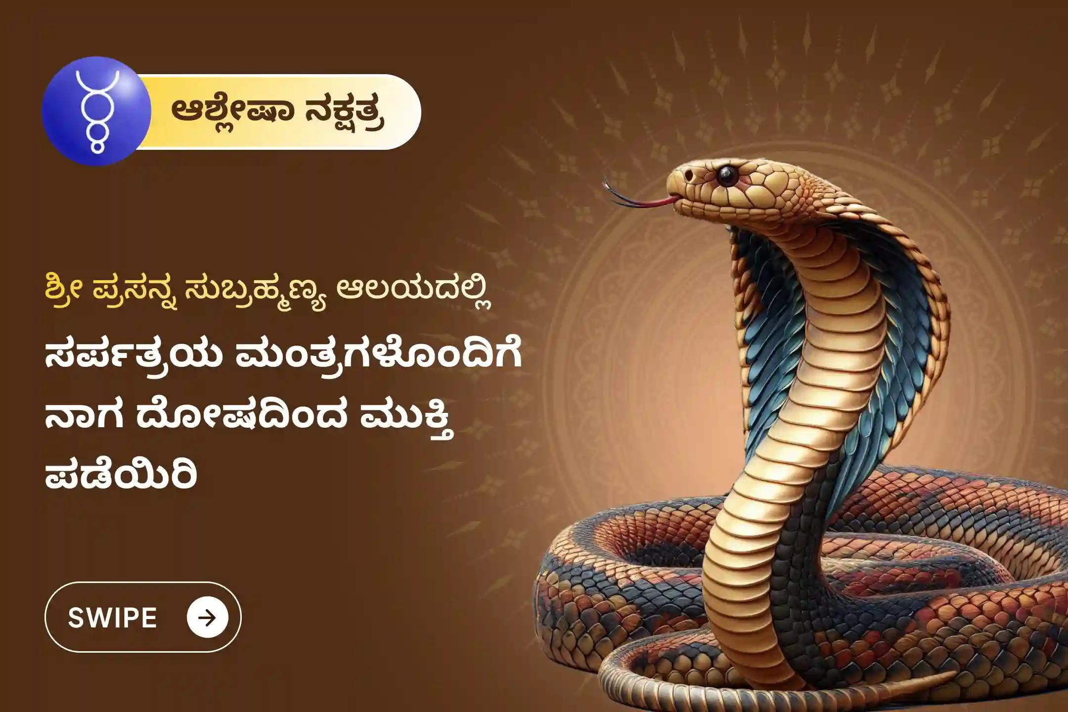 ನಾಗ ದೋಷ ಮತ್ತು ಜನ್ಮಾಂತರದ ಪಾಪಗಳಿಂದ ಮುಕ್ತಿ ಪಡೆಯಲು ಆಶ್ಲೇಷ ನಕ್ಷತ್ರದ ಈ ವಿಶೇಷ ಸಂದರ್ಭದಲ್ಲಿ ನಡೆಯುವ ನಾಗ ಪ್ರತಿಷ್ಠೆ ವಿಶೇಷ ಪೂಜೆಯಲ್ಲಿ ಭಾಗವಹಿಸಿ.