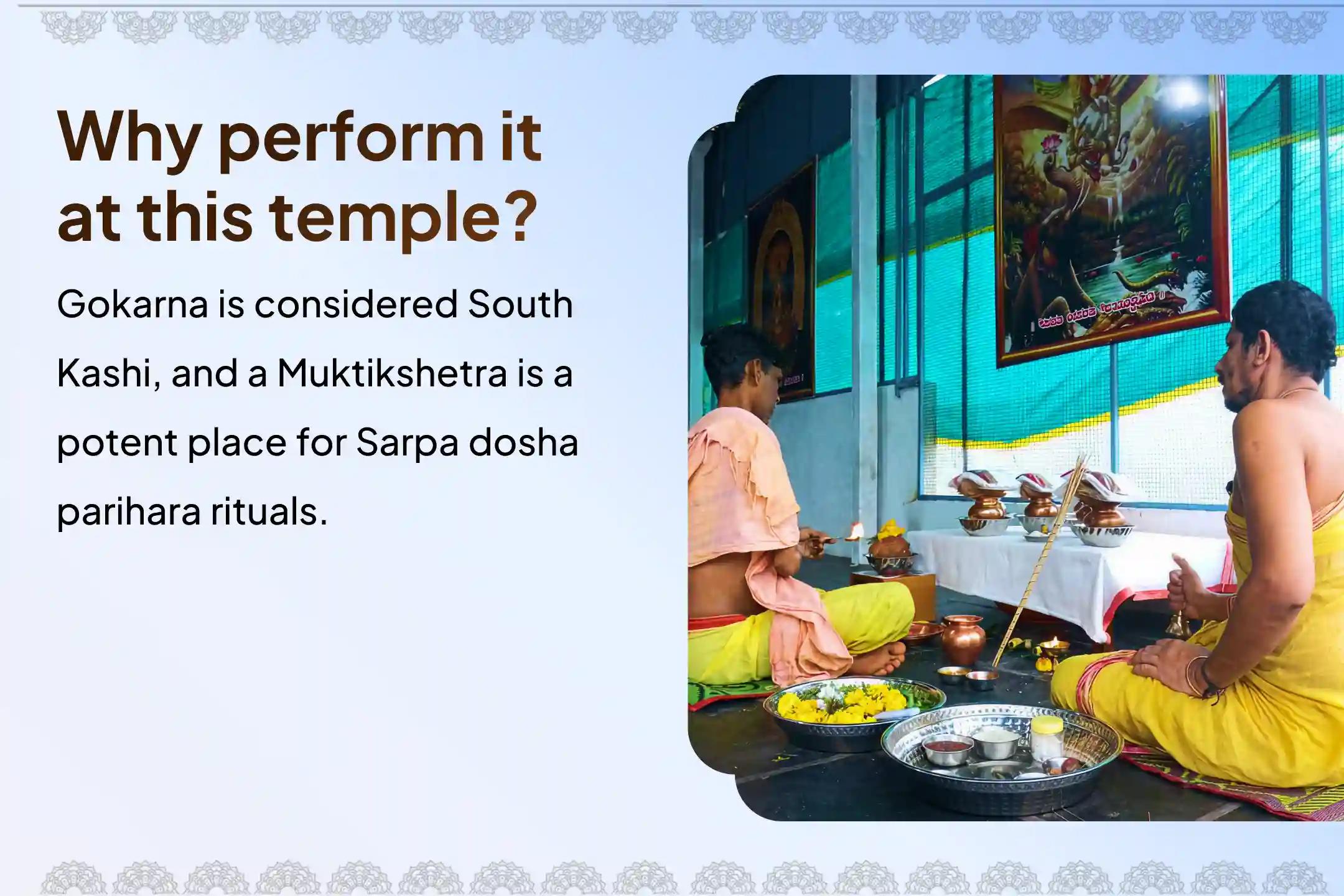 Participate in the Ashlesha Nakshatra Gokarna Special Ashlesha Naga Bali Puja to remove the malicious effects of Sarpa (Naga) Dosha and clean karmic sins