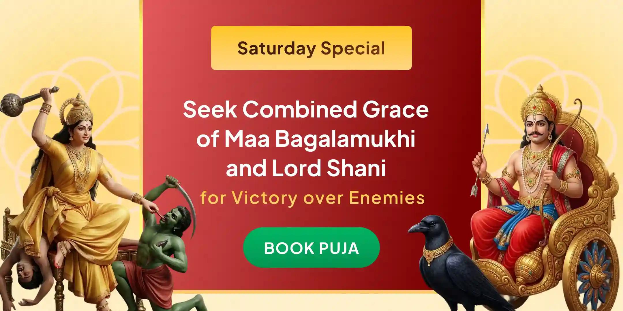 Maa Bagalamukhi Tantra Yukta Havan and Shani Til Tel Abhishek