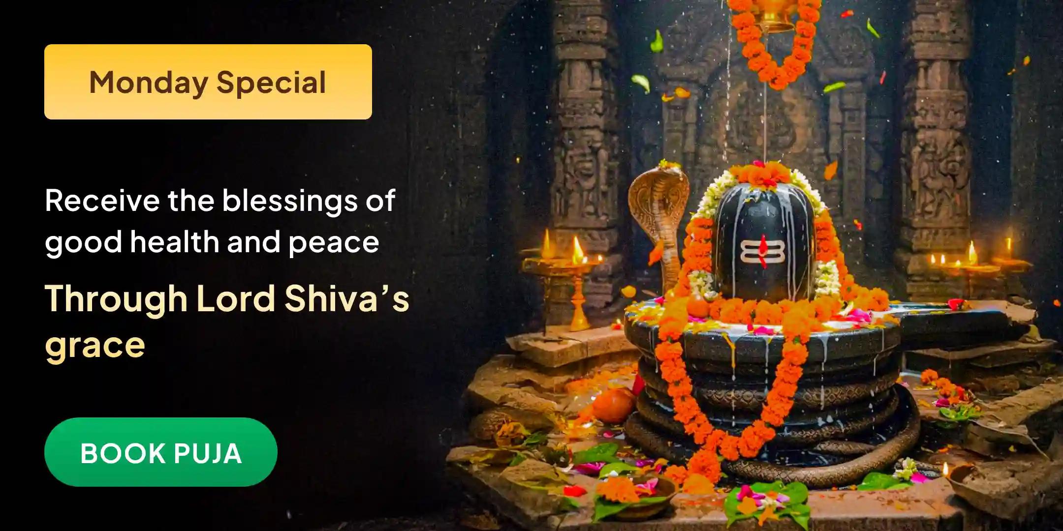 Health and Wellness Special Puja and Yagya