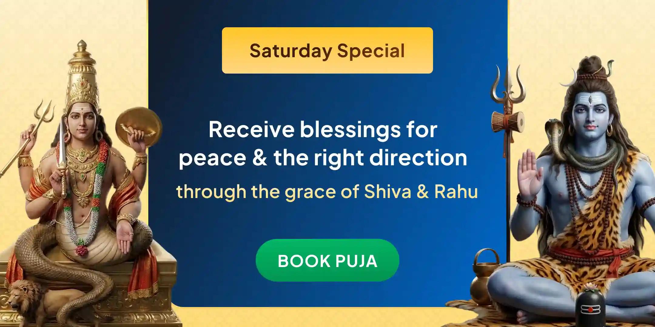 Rahu-Ketu Peeda Shanti Puja and Shiv Rudrabishek