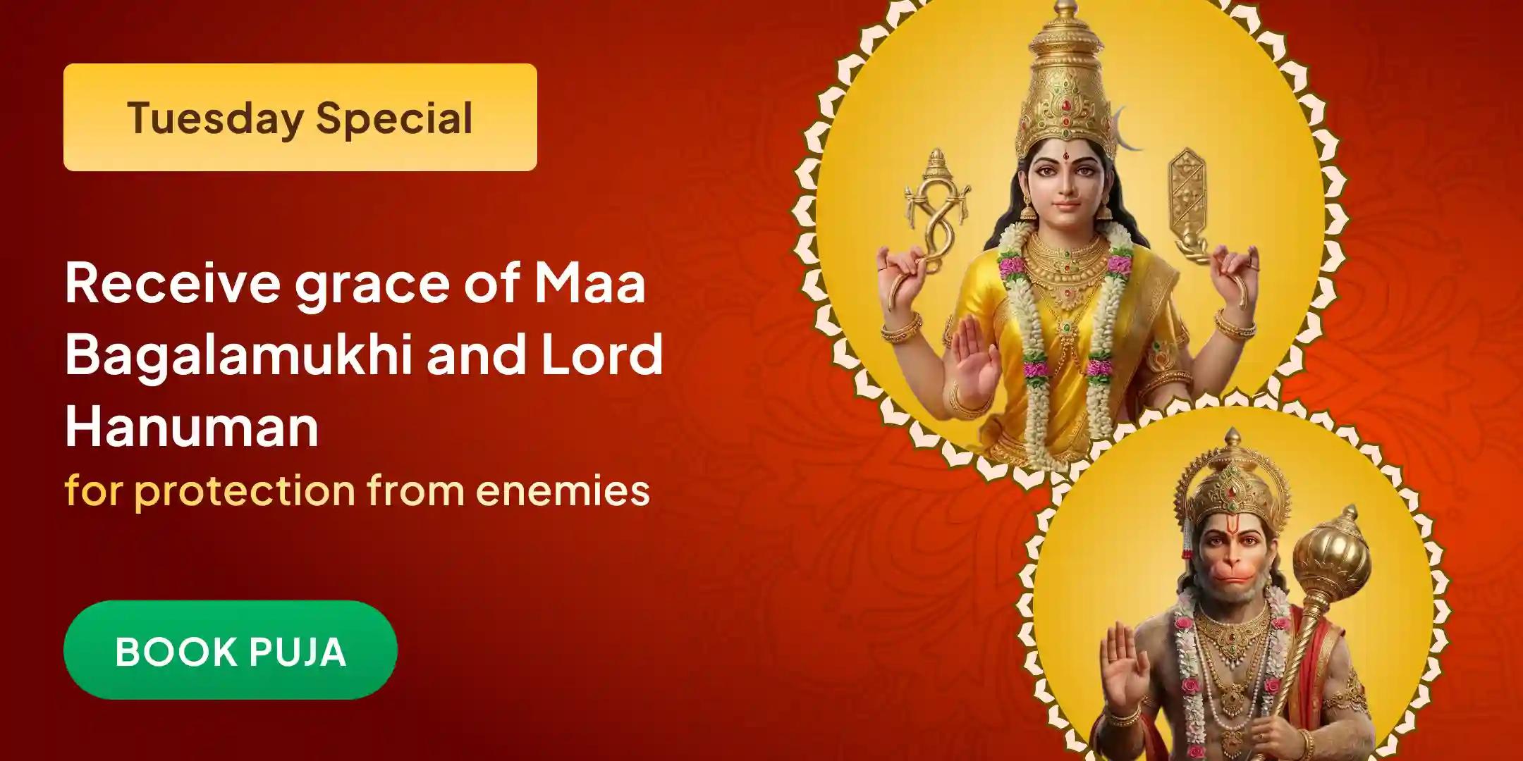 Maa Bagalamukhi Shatru Buddhi Vinashini Yagya and Hanuman Shatrunjay Pujan